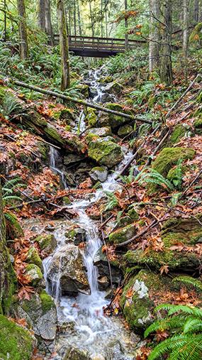 Cascade Falls | Fraser Valley Regional District