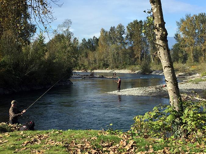 Fly Fishing, Parks & Recreation Calendar