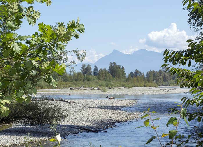 Vedder River Campground | Fraser Valley Regional District